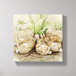 The Flopsy Bunnies Asleep (von Beatrix Potter) Leinwanddruck