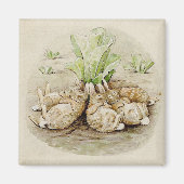 The Flopsy Bunnies Asleep (von Beatrix Potter) Magnet (Vorne)