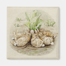The Flopsy Bunnies Asleep (von Beatrix Potter) Magnet
