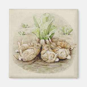 The Flopsy Bunnies Asleep (von Beatrix Potter) Magnet