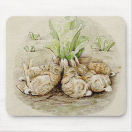 The Flopsy Bunnies Asleep (von Beatrix Potter) Mousepad
