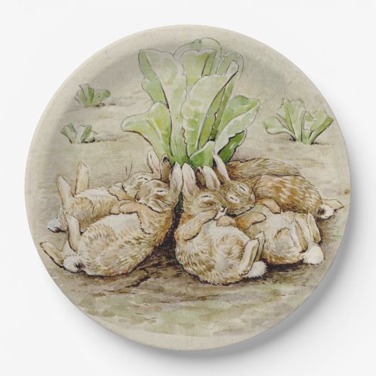 The Flopsy Bunnies Asleep (von Beatrix Potter) Pappteller (Vorderseite)