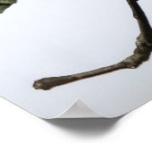 The Fly Catcher Poster (Ecke)