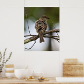 The Fly Catcher Poster (Küche)