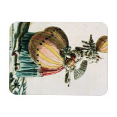 The Flying Coquette, c.1784 (color graving) Magnet (Horizontal)