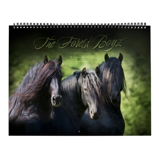 The Forest Boyz - Der Traum Kalender (Titelbild)