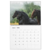 The Forest Boyz - Der Traum Kalender (Mär 2026)