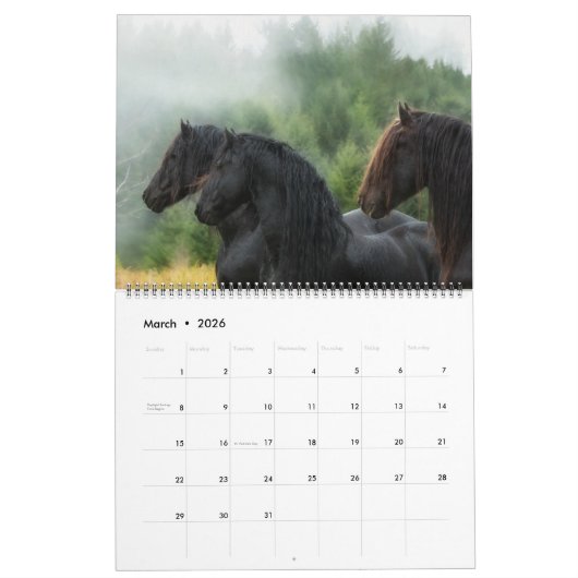 The Forest Boyz - Der Traum Kalender (Mär 2026)