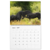 The Forest Boyz - Freedom Fighters Kalender (Mär 2027)