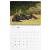 The Forest Boyz - Gesamtkalender Kalender (Mär 2027)