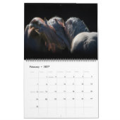 The Forest Boyz - Gesamtkalender Kalender (Feb 2027)