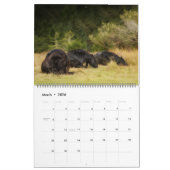 The Forest Boyz - Gesamtkalender Kalender (Mär 2026)