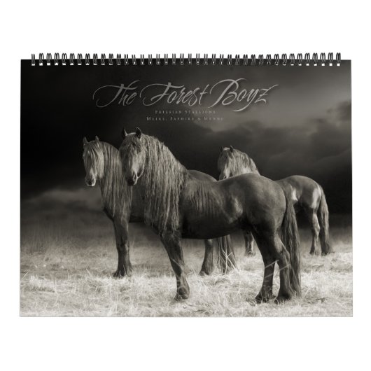 The Forest Boyz - Gesamtkalender Kalender (Titelbild)