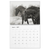 The Forest Boyz - Himmlischer Heimat Calendar Kalender (Mär 2027)