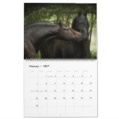 The Forest Boyz - Himmlischer Heimat Calendar Kalender (Feb 2027)