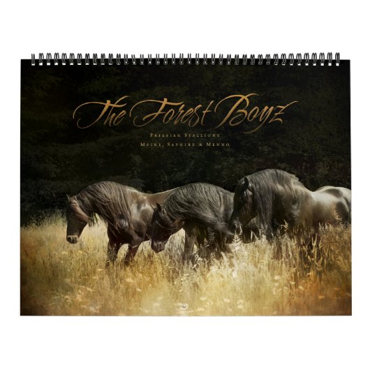 The Forest Boyz - Himmlischer Heimat Calendar Kalender (Titelbild)