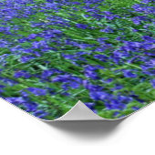 The Forest of Halle | Halle, Belgium Poster (Ecke)