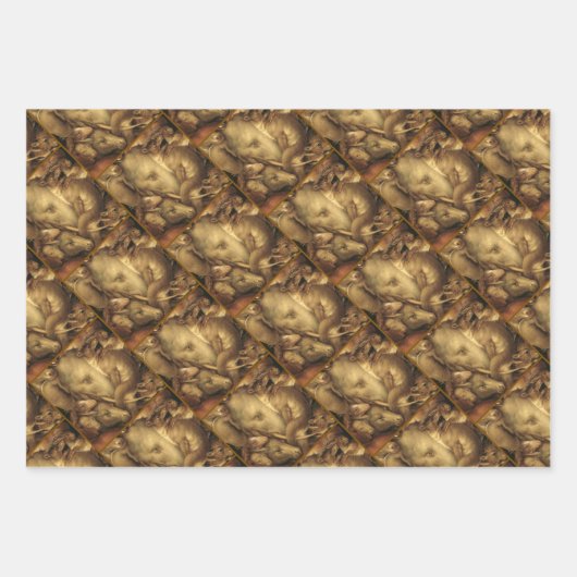 The Four Elements: Earth - Giuseppe Arcimboldo Geschenkpapier Set (Vorderseite)