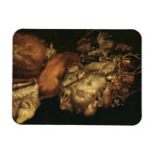 The Four Elements: Earth - Giuseppe Arcimboldo Magnet (Horizontal)