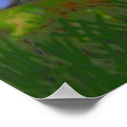 The Frog and the Snail Print Poster (Ecke)