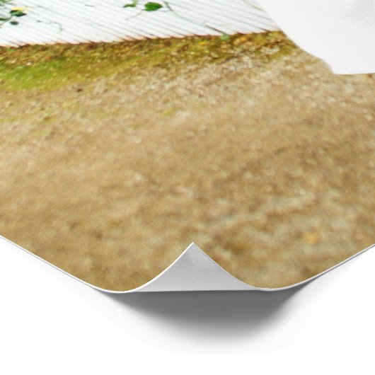 The Getaway Poster (Ecke)