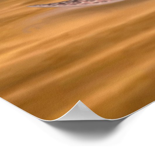 THE GIANT SQUID POSTER (Ecke)