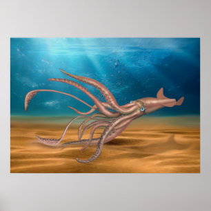THE GIANT SQUID POSTER
