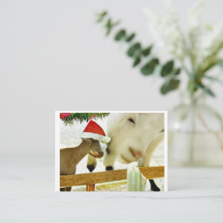The goats of Christmas past Card Mitteilungskarte