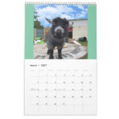 The_Goats_That_Cud 2021 Kalender (Mär 2027)