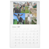 The_Goats_That_Cud 2021 Kalender (Jan 2027)