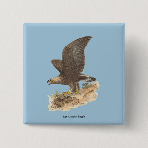 The Golden Eagle (Aquila chrysaetos) NY Bird Image Button