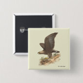 The Golden Eagle (Aquila chrysaetos) NY Bird Image Button (Vorne & Hinten)