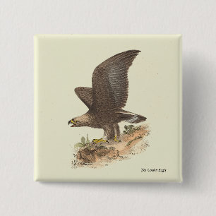 The Golden Eagle (Aquila chrysaetos) NY Bird Image Button