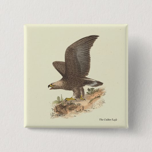 The Golden Eagle (Aquila chrysaetos) NY Bird Image Button (Vorderseite)