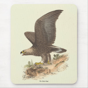 The Golden Eagle (Aquila chrysaetos) NY Bird Image Mousepad