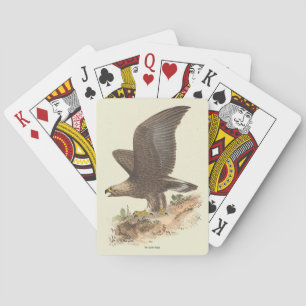 The Golden Eagle (Aquila chrysaetos) NY Bird Image Spielkarten