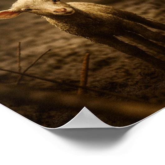 The Good Shepherd and the Lost Lamb – Jesus & Lamb Poster (Ecke)