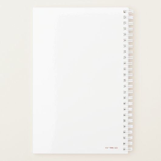 The Goonies Pirate Ship Silhouette Graphic Planer (Rückseite)