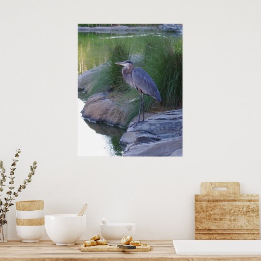 The Great Blue Heron Poster (Küche)