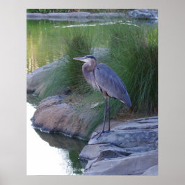 The Great Blue Heron Poster