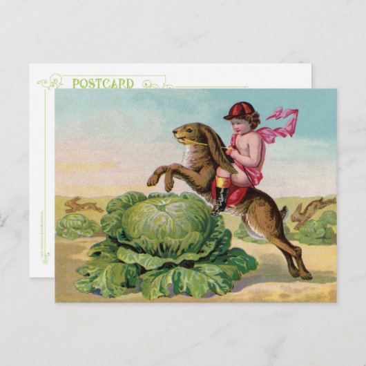 The Great Cabbage Patch Steeplechase Postkarte (Vorne/Hinten)
