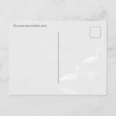 The great egret (Ardea alba) birds Postkarte (Rückseite)