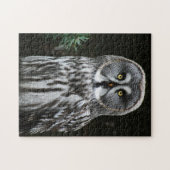 The Great Gray Owl 11x14 252pc jpcnm Puzzle (Horizontal)