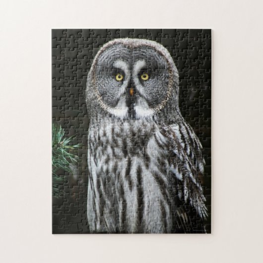 The Great Gray Owl 11x14 252pc jpcnm Puzzle (Vertikal)