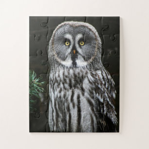 The Great Gray Owl 11x14 30pc jpcnm Puzzle