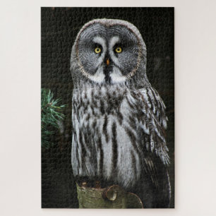 The Great Gray Owl 20x30 1014pc jpcnm Puzzle