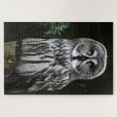 The Great Gray Owl 20x30 1014pc jpm Puzzle (Horizontal)