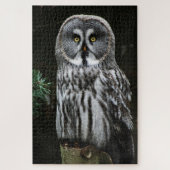 The Great Gray Owl 20x30 1014pc jpm Puzzle (Vertikal)