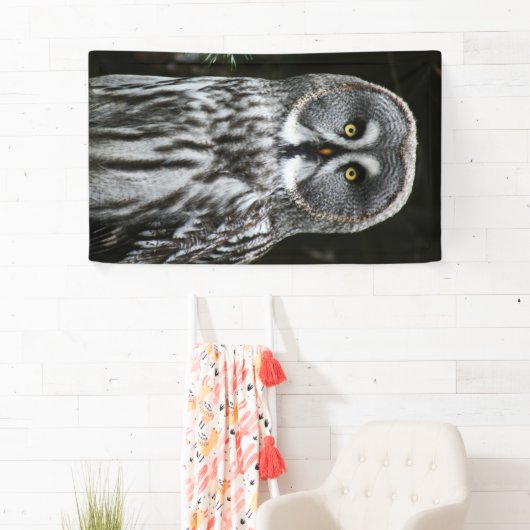 The Great Gray Owl Banner (Insitu)