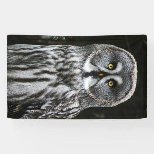 The Great Gray Owl Banner (Horizontal)